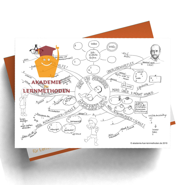 Mindmap Der Mororeflex