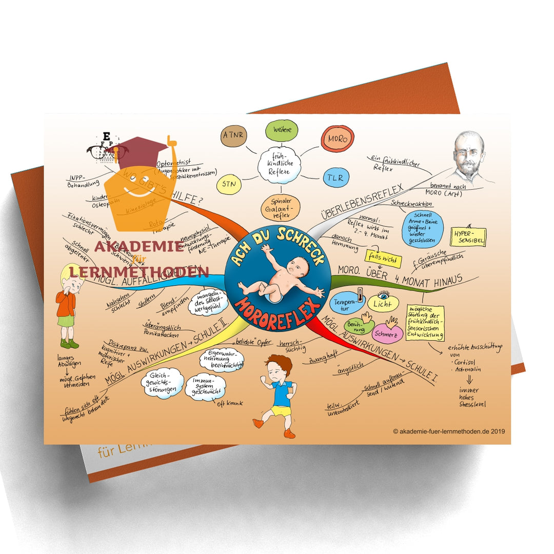 Mindmap Der Mororeflex