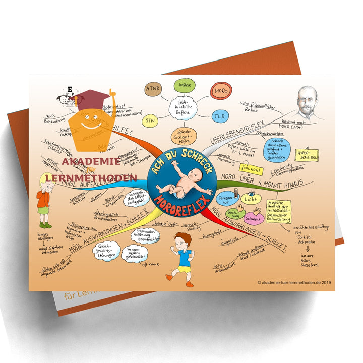 Mindmap Der Mororeflex