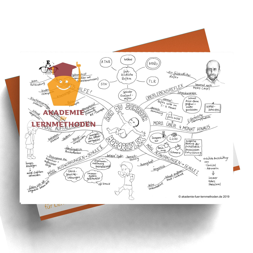 Mindmap Der Mororeflex