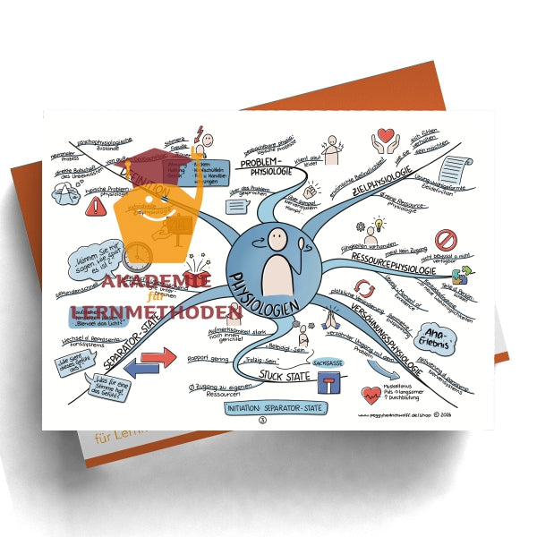 NLP Practitioner – Modul 1 - Grundlagen