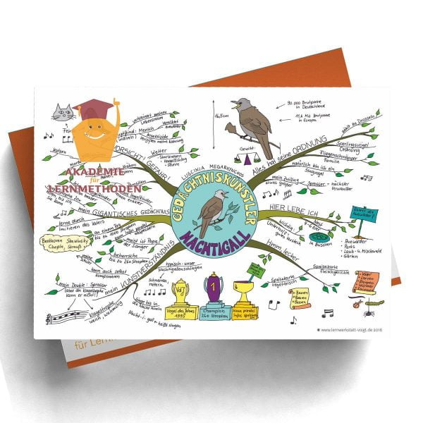 Mindmappaket Biologie 4 - Vögel I - die Herrscher der Lüfte [Digital]