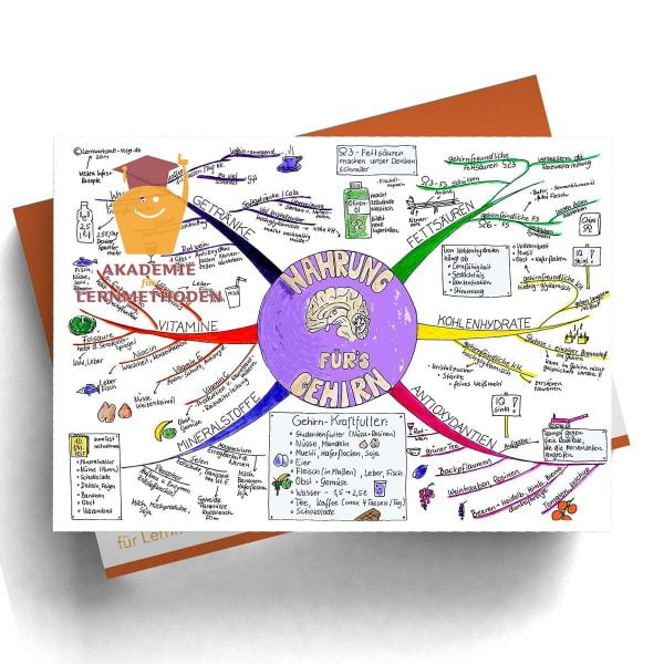 Mindmappaket Biologie 2 - Das Gehirn - unser Zentralrechner [Digital]