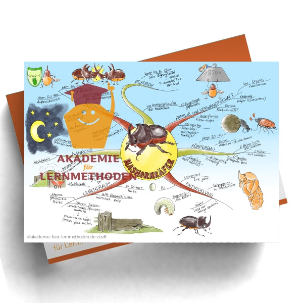 Carte mentale sur la perdrix grise