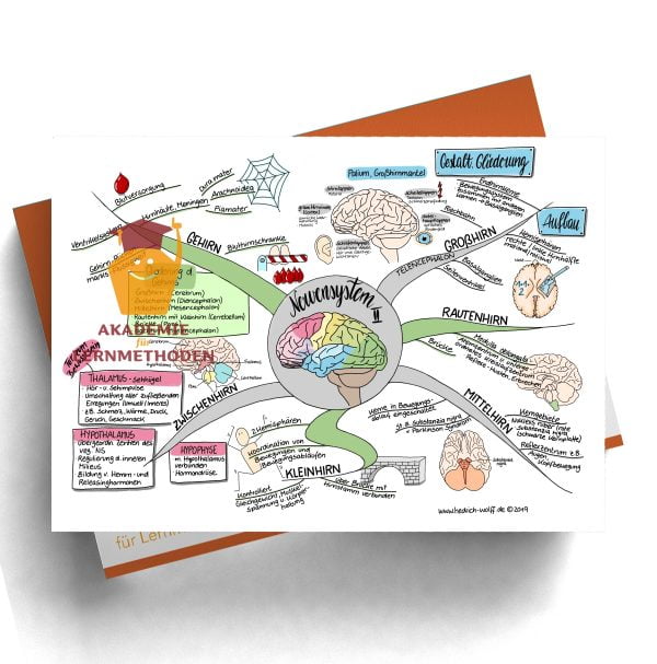 Mindmap zum Thema Nervensystem II