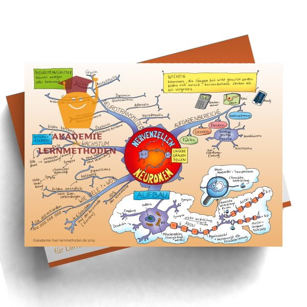 Mindmap zum Thema Nervenzellen