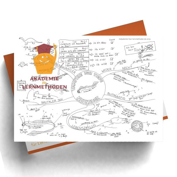 Mindmap zum Thema Neunauge mit Lücken