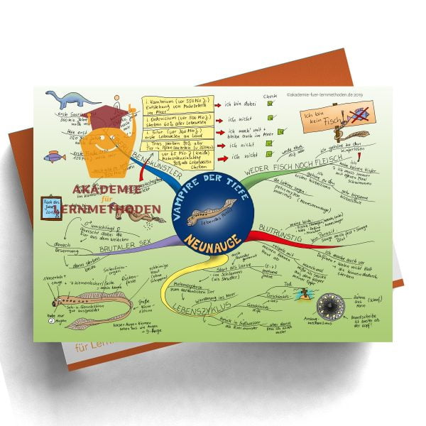 Mindmap zum Thema Neunauge