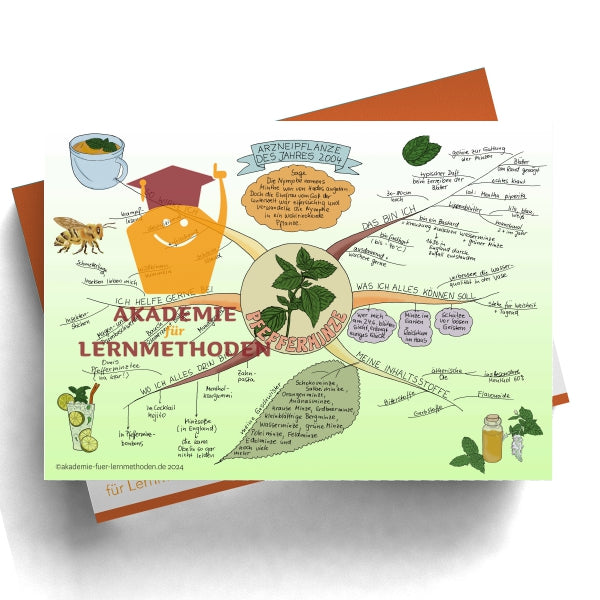 Mindmap zum Thema Pfefferminze