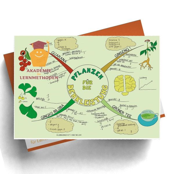 Mindmap Pflanzen für die Denkleistung