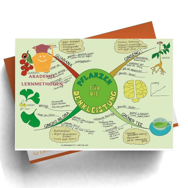 Mindmap Pflanzen für die Denkleistung - Papierformat