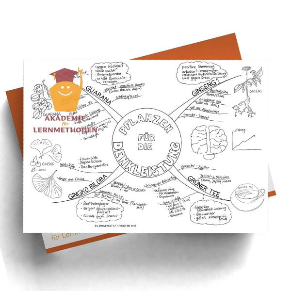 Mindmap Pflanzen für die Denkleistung