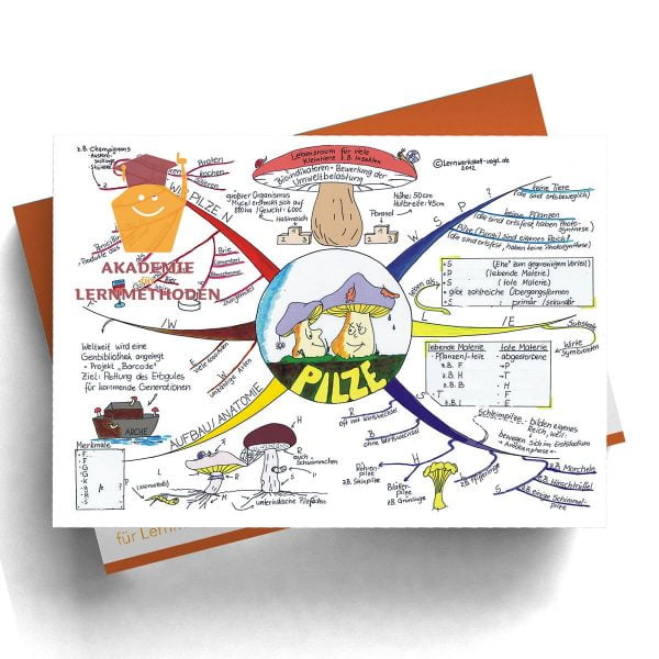 Mindmap Pilze