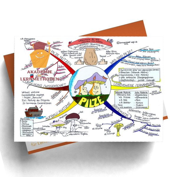 Mindmap Pilze