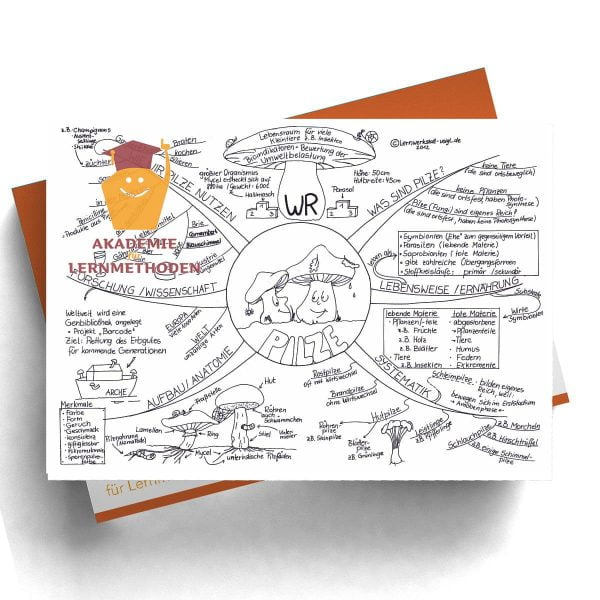 Mindmap Pilze