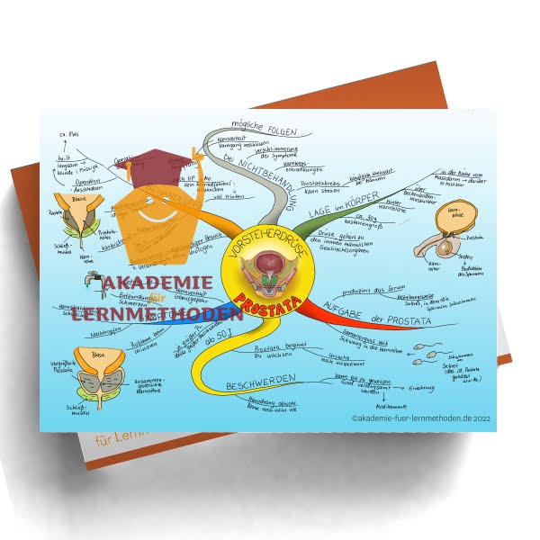 Mindmap zum Thema Prostata