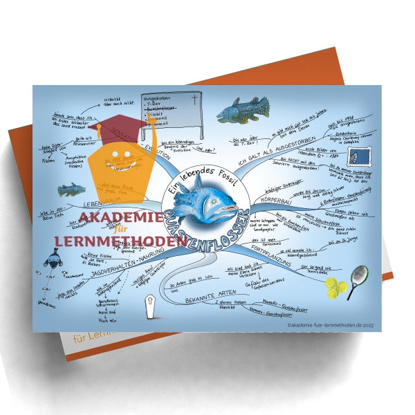 Mindmap der Quastenflosser