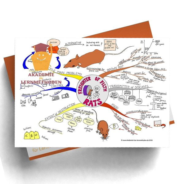 Mindmap Rats (englisch) - Papierformat
