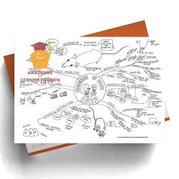 Mindmap Rats (englisch)