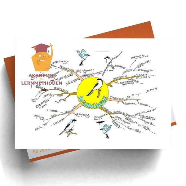 Mindmap Der Raubwürger
