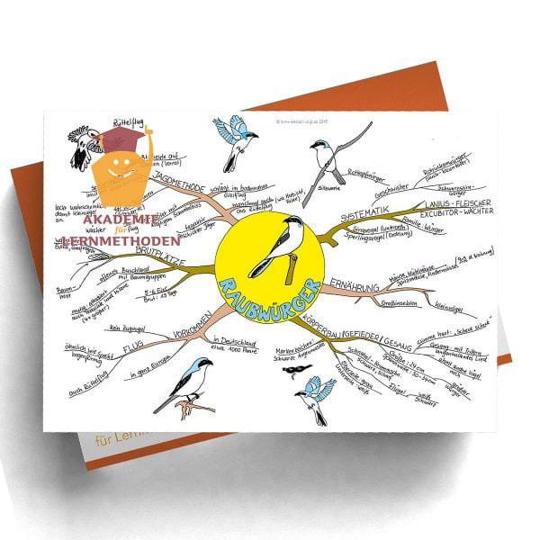 Mindmappaket Biologie 4 - Vögel I - die Herrscher der Lüfte [Digital]