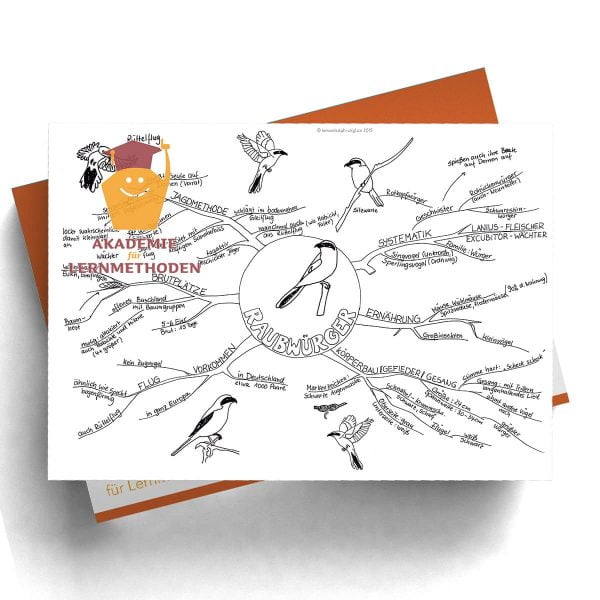 Mindmap Der Raubwürger