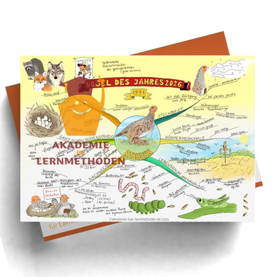 Mindmap zum Rebhuhn
