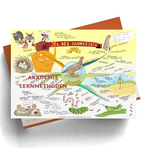 Mindmap zum Rebhuhn