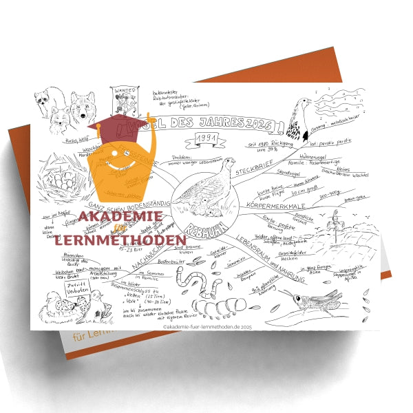 Mindmap zum Rebhuhn