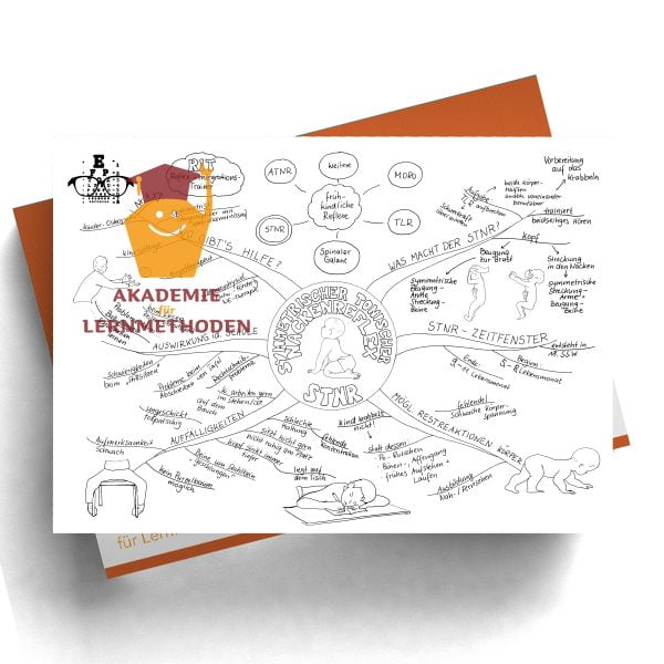 Mindmap zum Thema Reflex STNR Schwarz Weiß