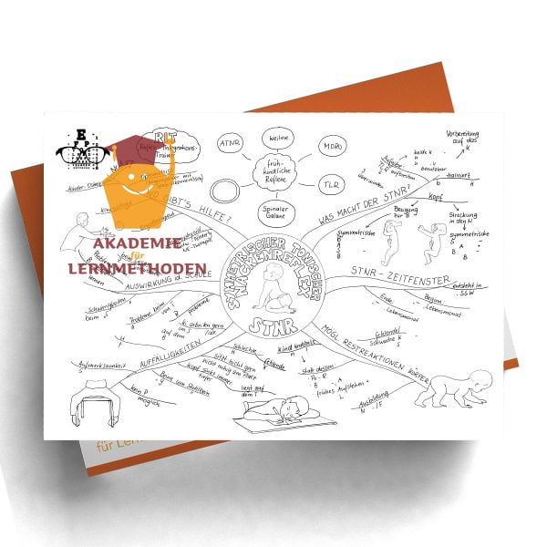 Mindmap zum Thema Reflex STNR Mit Lücken