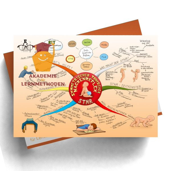 Mindmap zum Thema Reflex STNR in Farbe