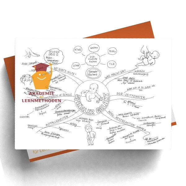 Mindmap zum Thema Reflex Spinaler Galant Shwarz Weiß