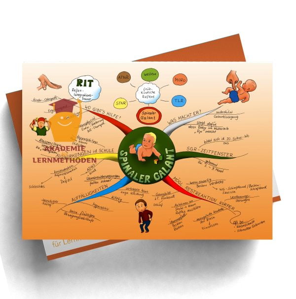 Mindmap zum Thema Reflex Spinaler Galant in Farbe