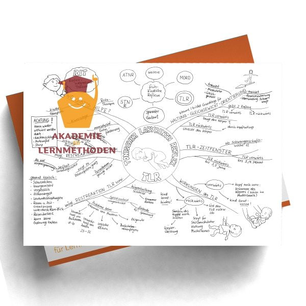 Mindmap zum Thema Reflex TLR Schwarz Weiß