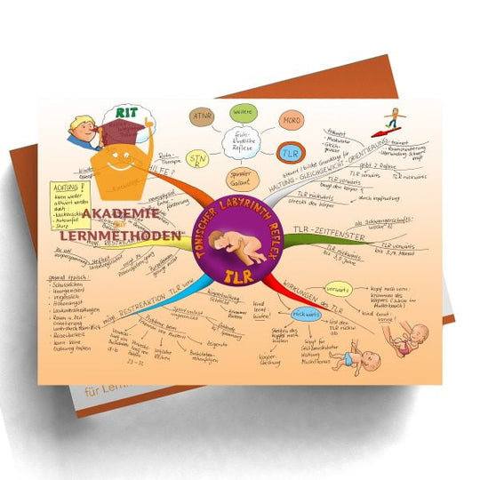 Mindmap Der Reflex TLR (Tonischer Labyrinth Reflex) – Akademie für ...