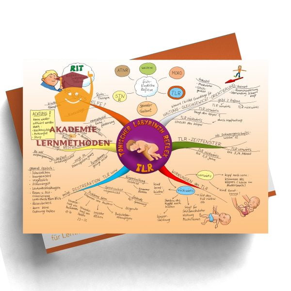 Mindmap zum Thema Reflex TLR in Farbe