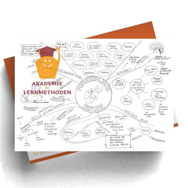 Mindmap zum Thema Reflexe Übersicht Schwarz Weiß