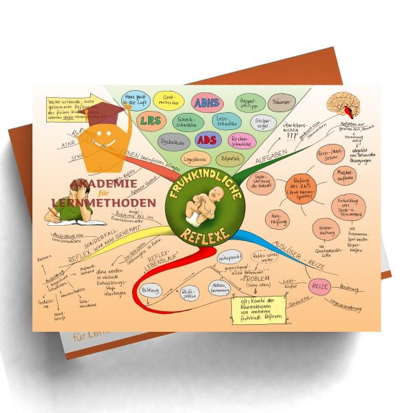 Mindmap zum Thema Reflexe Übersicht in Farbe