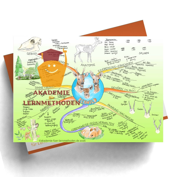Carte mentale sur la perdrix grise