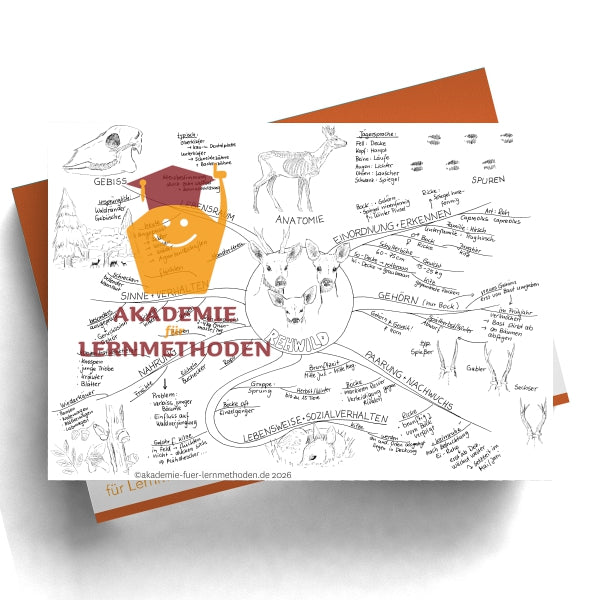 Carte mentale sur la perdrix grise
