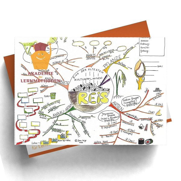 Mindmap Reisanbau in Asien