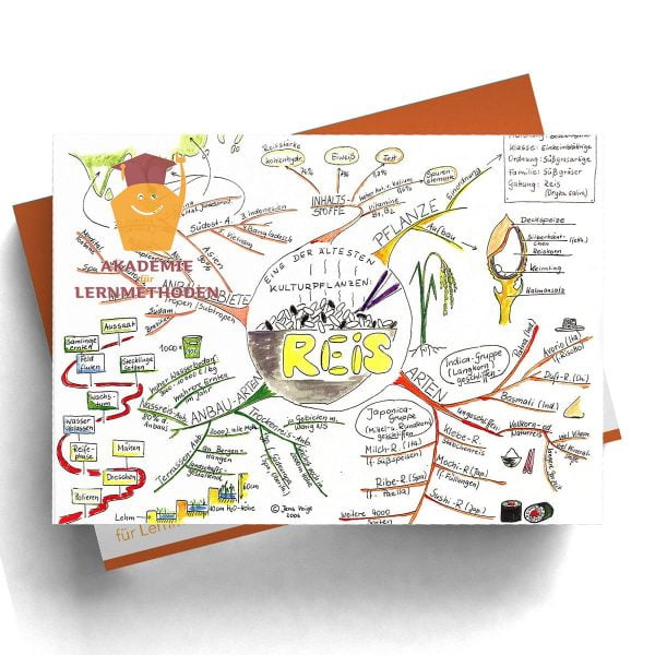 Mindmappaket Erdkunde 1 - Fernes Asien [Digital]