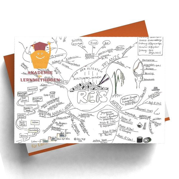 Mindmap Reisanbau in Asien