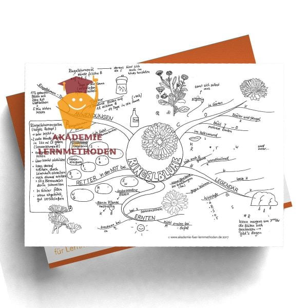 Mindmap zum Thema Ringelblume mit Lücken