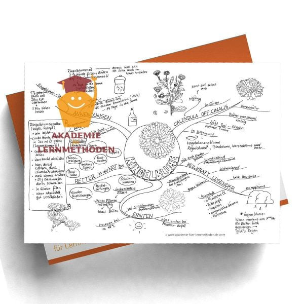 Mindmap zum Thema Ringelblume in Schwarz- Weiß