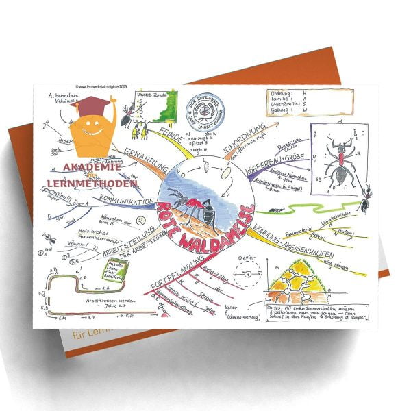 Mindmap Die rote Waldameise