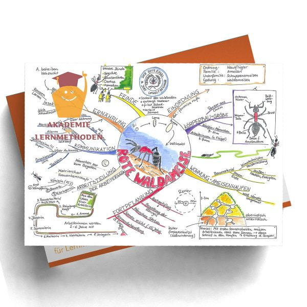 Mindmappaket Grundschule 1 - Abteilung Tiere [Digital]