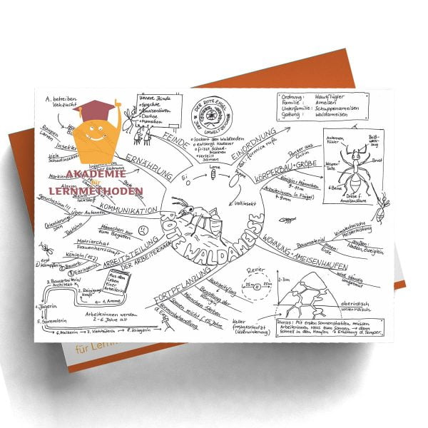 Mindmap Die rote Waldameise