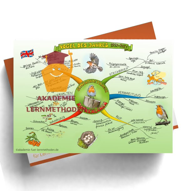 Mindmap zum Thema das Rotkehlchen.